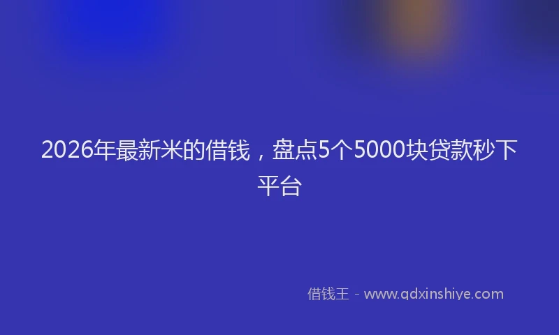 2026年最新米的借钱，盘点5个5000块贷款秒下平台