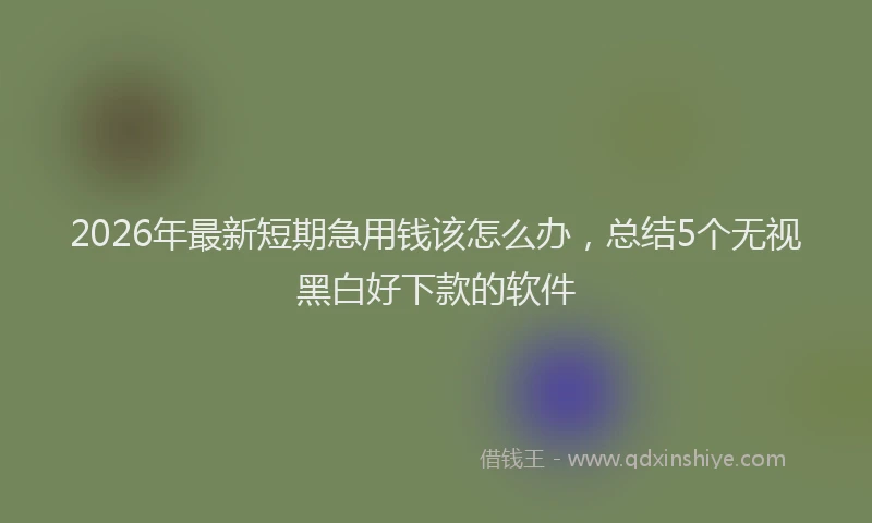 2026年最新短期急用钱该怎么办，总结5个无视黑白好下款的软件