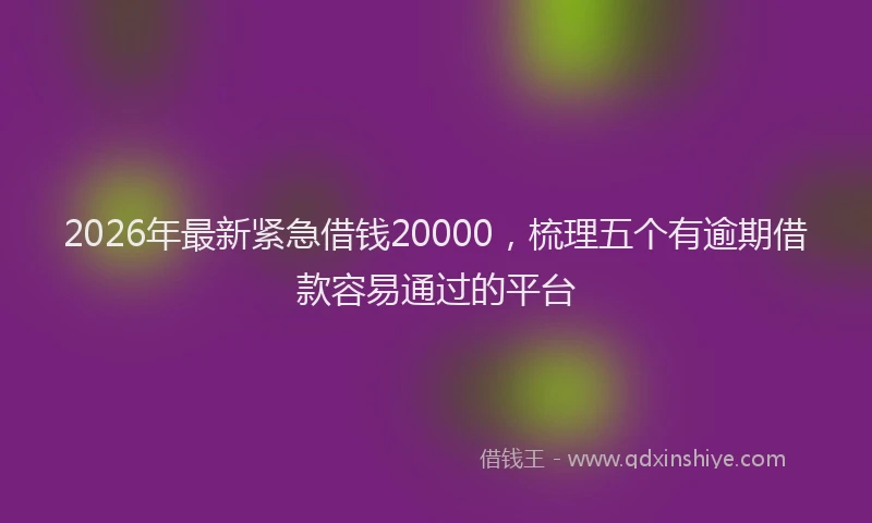 2026年最新紧急借钱20000，梳理五个有逾期借款容易通过的平台