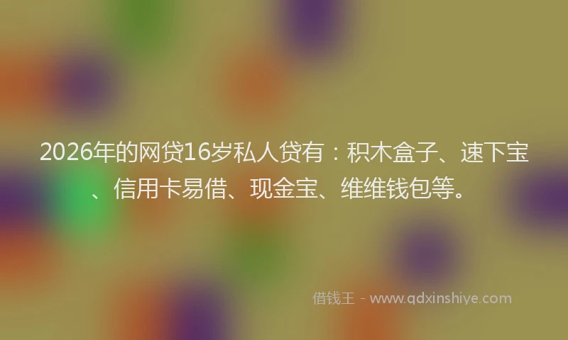 2026年的网贷16岁私人贷有：积木盒子、速下宝、信用卡易借、现金宝、维维钱包等。