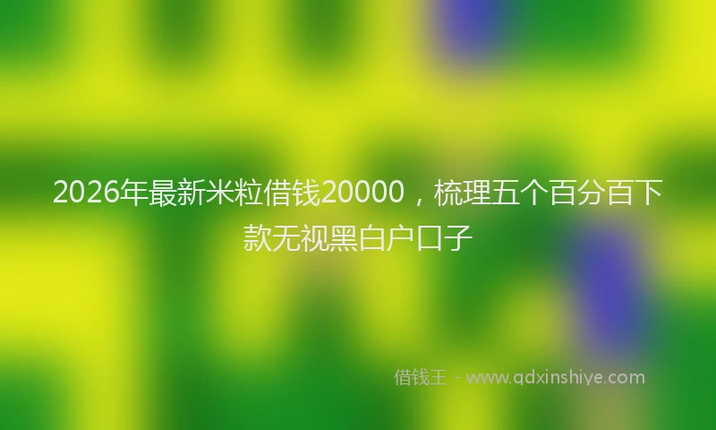 2026年最新米粒借钱20000，梳理五个百分百下款无视黑白户口子