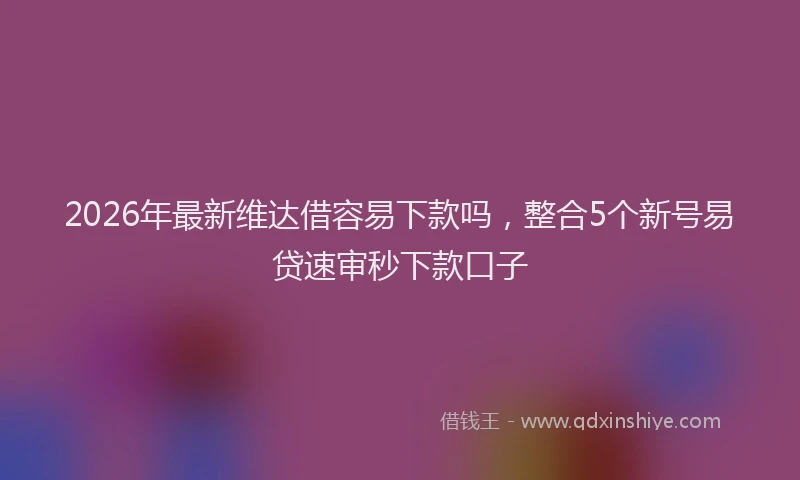 2026年最新维达借容易下款吗，整合5个新号易贷速审秒下款口子