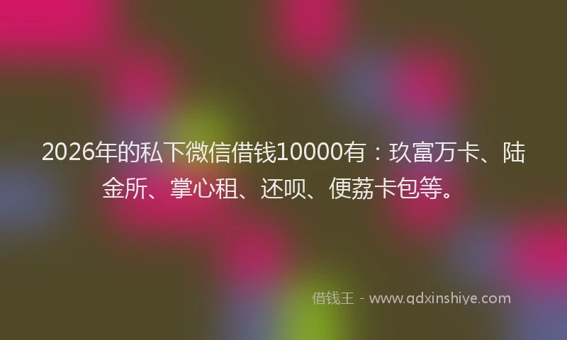 2026年的私下微信借钱10000有：玖富万卡、陆金所、掌心租、还呗、便荔卡包等。