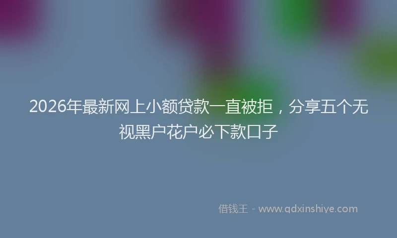 2026年最新网上小额贷款一直被拒，分享五个无视黑户花户必下款口子