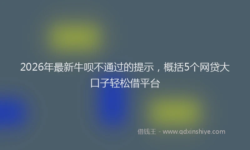 2026年最新牛呗不通过的提示，概括5个网贷大口子轻松借平台