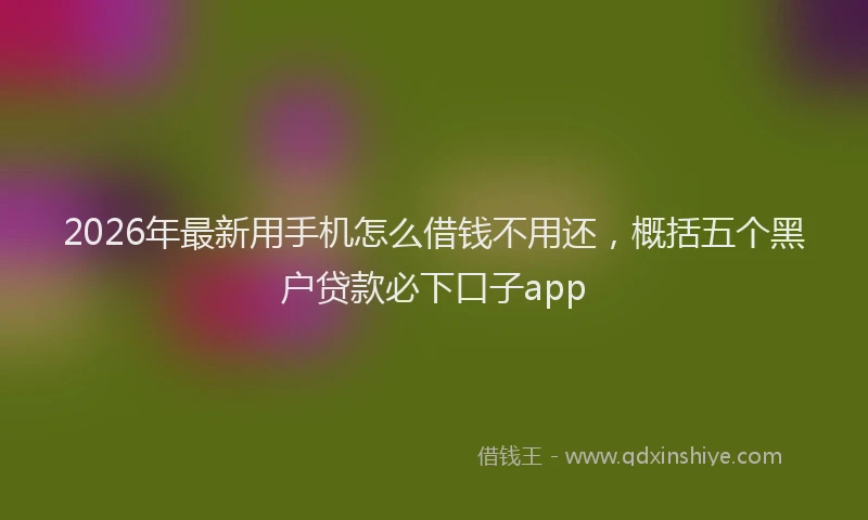 2026年最新用手机怎么借钱不用还，概括五个黑户贷款必下口子app