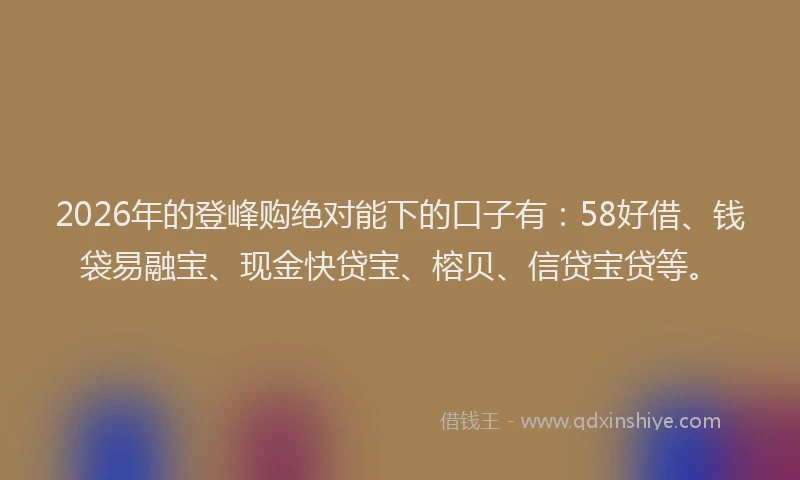 2026年的登峰购绝对能下的口子有：58好借、钱袋易融宝、现金快贷宝、榕贝、信贷宝贷等。