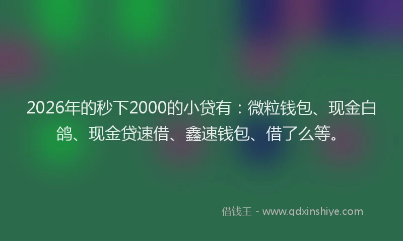 2026年的秒下2000的小贷有：微粒钱包、现金白鸽、现金贷速借、鑫速钱包、借了么等。