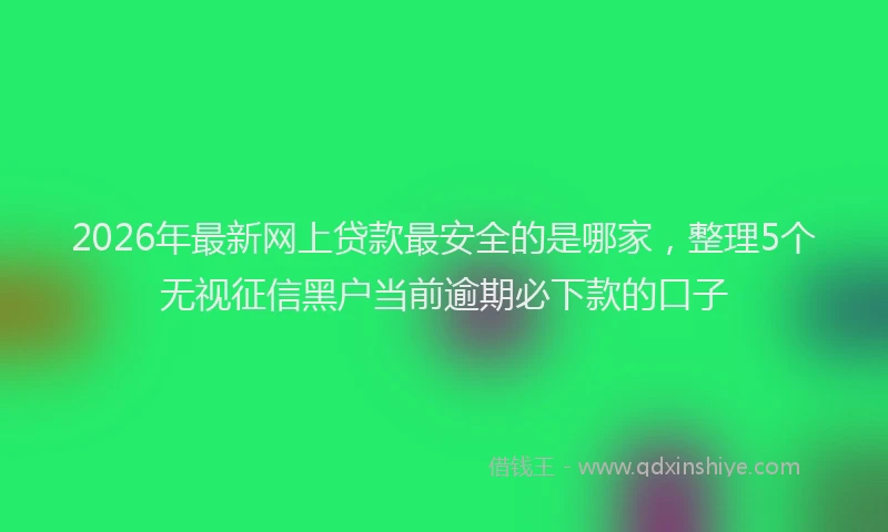 2026年最新网上贷款最安全的是哪家，整理5个无视征信黑户当前逾期必下款的口子