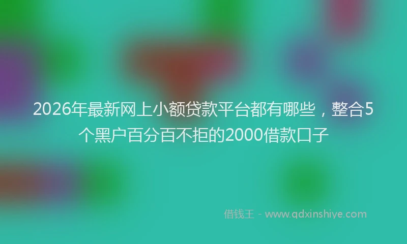 2026年最新网上小额贷款平台都有哪些，整合5个黑户百分百不拒的2000借款口子