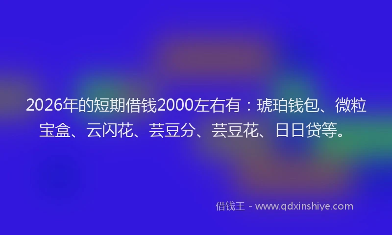2026年的短期借钱2000左右有：琥珀钱包、微粒宝盒、云闪花、芸豆分、芸豆花、日日贷等。