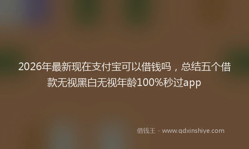 2026年最新现在支付宝可以借钱吗，总结五个借款无视黑白无视年龄100%秒过app