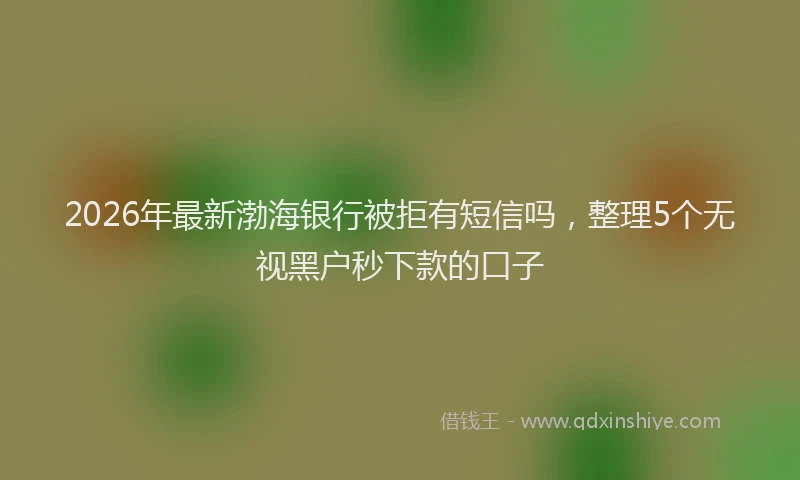 2026年最新渤海银行被拒有短信吗，整理5个无视黑户秒下款的口子