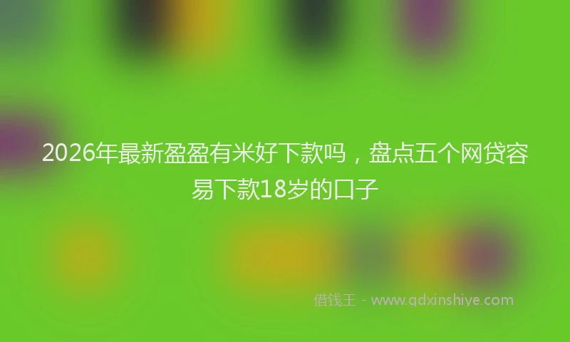 2026年最新盈盈有米好下款吗，盘点五个网贷容易下款18岁的口子