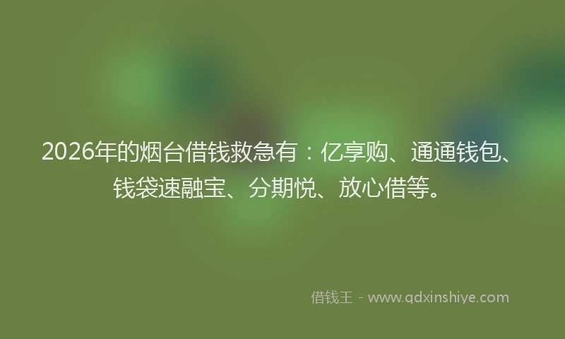2026年的烟台借钱救急有：亿享购、通通钱包、钱袋速融宝、分期悦、放心借等。