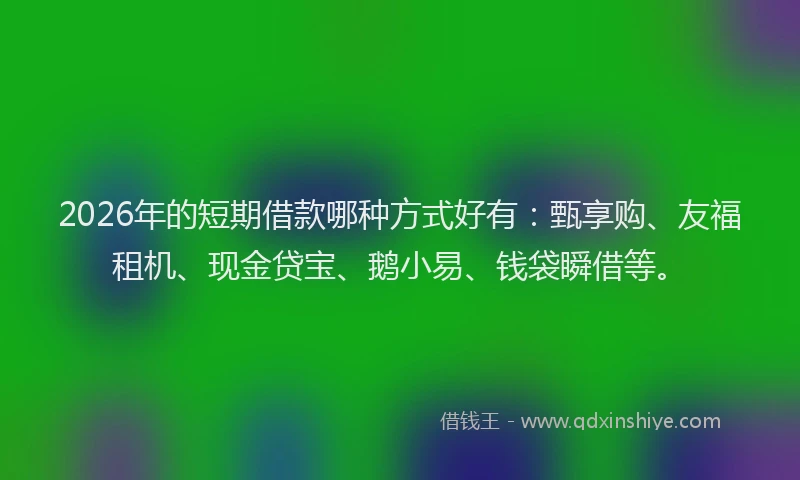 2026年的短期借款哪种方式好有：甄享购、友福租机、现金贷宝、鹅小易、钱袋瞬借等。