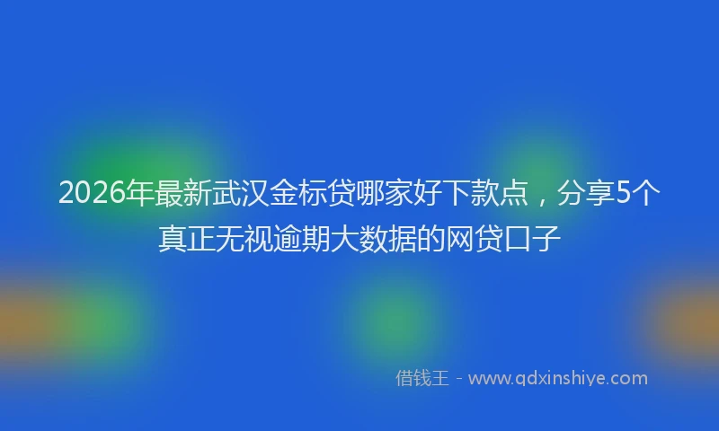 2026年最新武汉金标贷哪家好下款点，分享5个真正无视逾期大数据的网贷口子