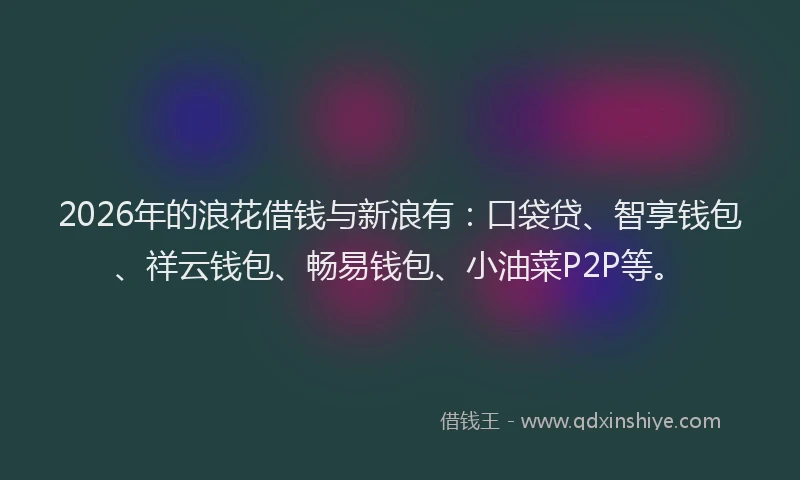 2026年的浪花借钱与新浪有：口袋贷、智享钱包、祥云钱包、畅易钱包、小油菜P2P等。