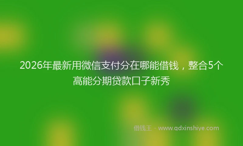 2026年最新用微信支付分在哪能借钱，整合5个高能分期贷款口子新秀