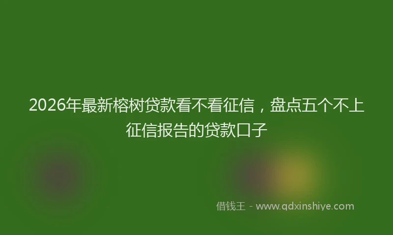 2026年最新榕树贷款看不看征信，盘点五个不上征信报告的贷款口子