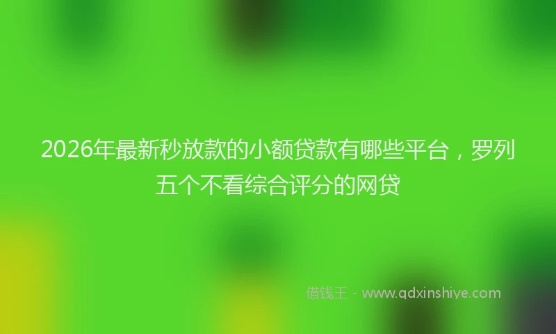 2026年最新秒放款的小额贷款有哪些平台，罗列五个不看综合评分的网贷