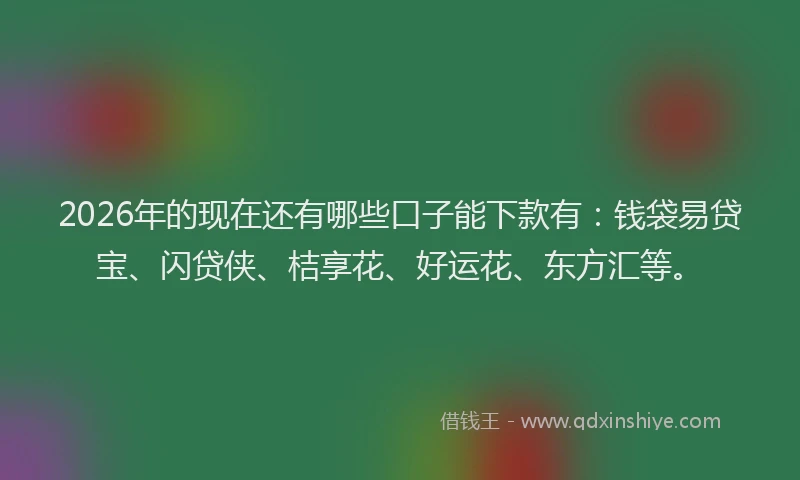 2026年的现在还有哪些口子能下款有：钱袋易贷宝、闪贷侠、桔享花、好运花、东方汇等。