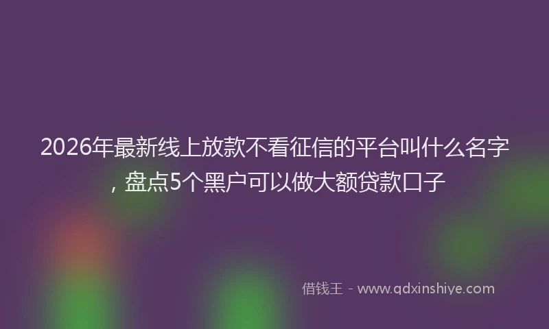 2026年最新线上放款不看征信的平台叫什么名字，盘点5个黑户可以做大额贷款口子