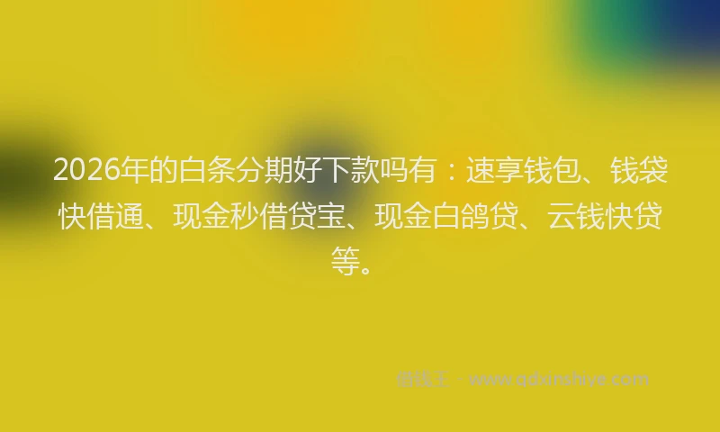 2026年的白条分期好下款吗有：速享钱包、钱袋快借通、现金秒借贷宝、现金白鸽贷、云钱快贷等。