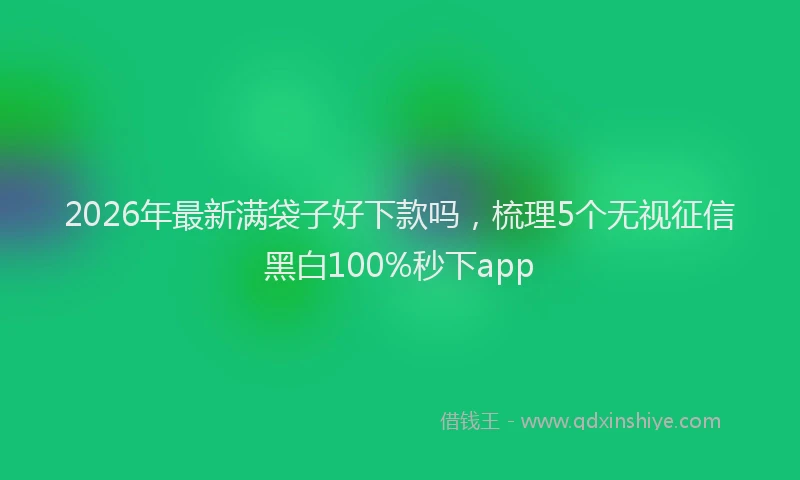 2026年最新满袋子好下款吗，梳理5个无视征信黑白100%秒下app