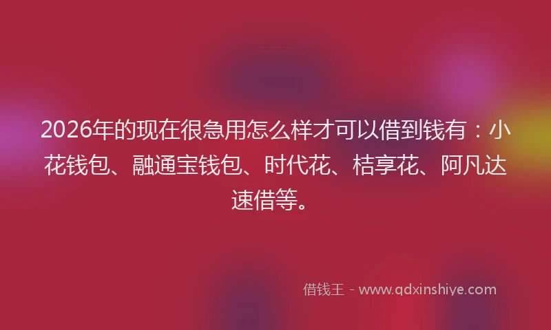 2026年的现在很急用怎么样才可以借到钱有：小花钱包、融通宝钱包、时代花、桔享花、阿凡达速借等。
