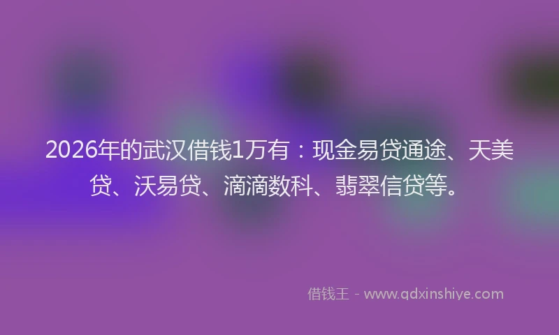 2026年的武汉借钱1万有：现金易贷通途、天美贷、沃易贷、滴滴数科、翡翠信贷等。