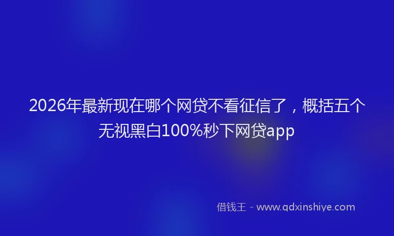 2026年最新现在哪个网贷不看征信了，概括五个无视黑白100%秒下网贷app