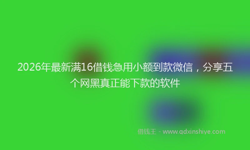 2026年最新满16借钱急用小额到款微信，分享五个网黑真正能下款的软件