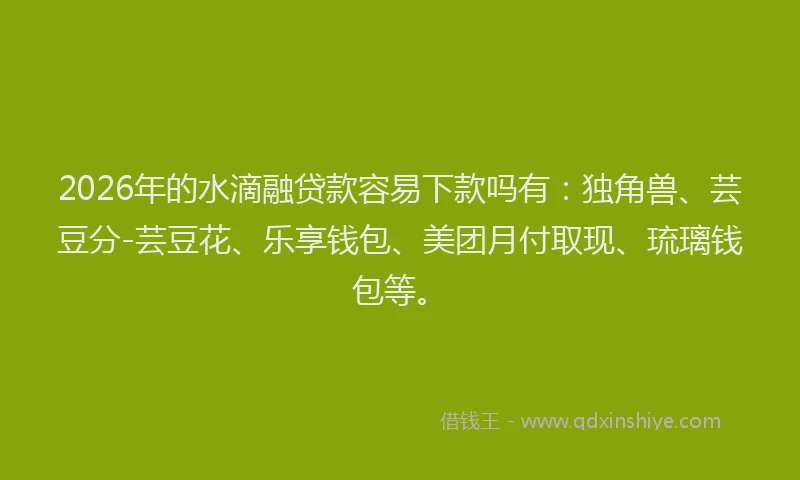2026年的水滴融贷款容易下款吗有：独角兽、芸豆分-芸豆花、乐享钱包、美团月付取现、琉璃钱包等。