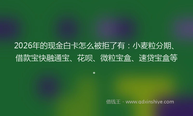 2026年的现金白卡怎么被拒了有：小麦粒分期、借款宝快融通宝、花呗、微粒宝盒、速贷宝盒等。