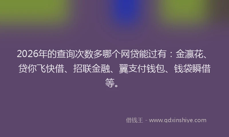 2026年的查询次数多哪个网贷能过有：金瀛花、贷你飞快借、招联金融、翼支付钱包、钱袋瞬借等。