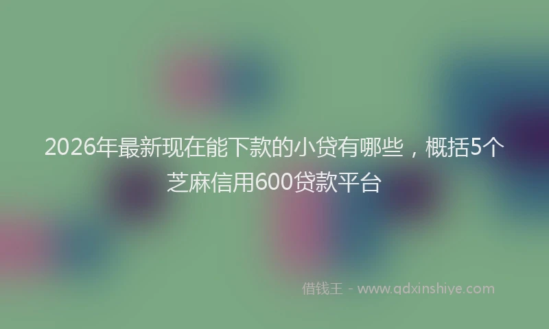 2026年最新现在能下款的小贷有哪些，概括5个芝麻信用600贷款平台