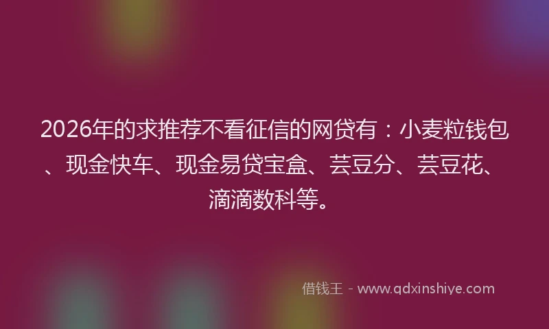 2026年的求推荐不看征信的网贷有：小麦粒钱包、现金快车、现金易贷宝盒、芸豆分、芸豆花、滴滴数科等。