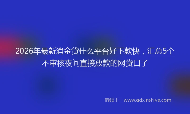 2026年最新消金贷什么平台好下款快，汇总5个不审核夜间直接放款的网贷口子