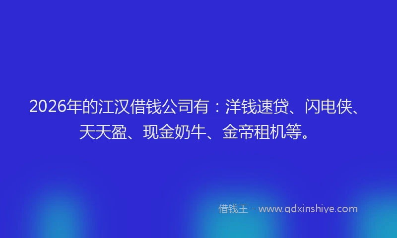2026年的江汉借钱公司有：洋钱速贷、闪电侠、天天盈、现金奶牛、金帝租机等。