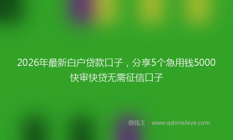 2026年最新白户贷款口子，分享5个急用钱5000快审快贷无需征信口子