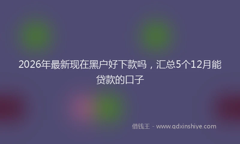 2026年最新现在黑户好下款吗，汇总5个12月能贷款的口子
