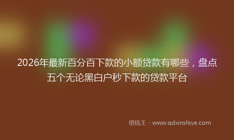 2026年最新百分百下款的小额贷款有哪些，盘点五个无论黑白户秒下款的贷款平台