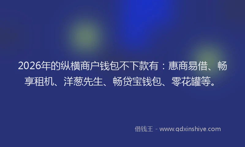 2026年的纵横商户钱包不下款有：惠商易借、畅享租机、洋葱先生、畅贷宝钱包、零花罐等。
