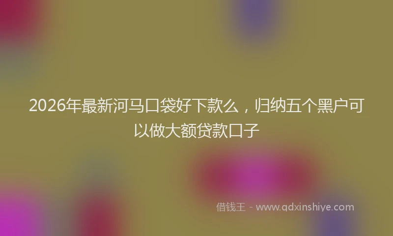 2026年最新河马口袋好下款么，归纳五个黑户可以做大额贷款口子