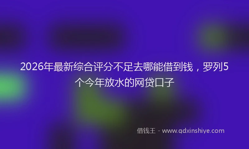 2026年最新综合评分不足去哪能借到钱，罗列5个今年放水的网贷口子