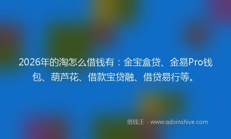 2026年的淘怎么借钱有：金宝盒贷、金易Pro钱包、葫芦花、借款宝贷融、借贷易行等。