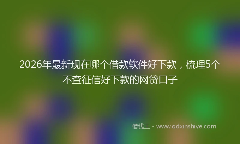 2026年最新现在哪个借款软件好下款，梳理5个不查征信好下款的网贷口子