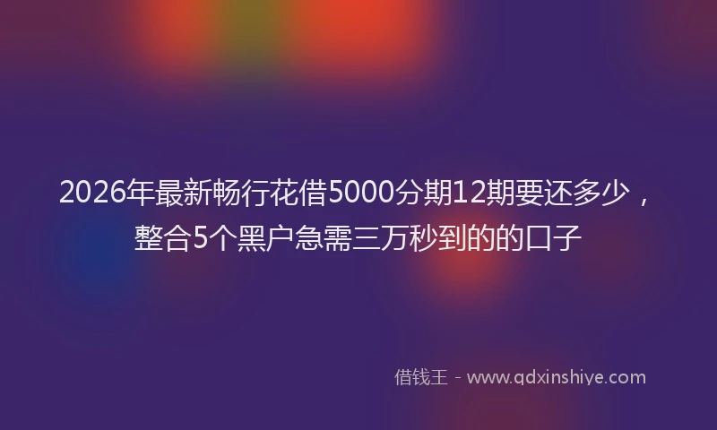 2026年最新畅行花借5000分期12期要还多少，整合5个黑户急需三万秒到的的口子
