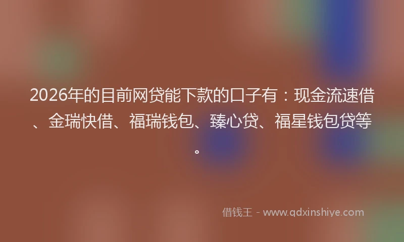 2026年的目前网贷能下款的口子有：现金流速借、金瑞快借、福瑞钱包、臻心贷、福星钱包贷等。